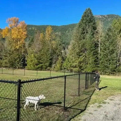 4ft Black Chain Link - Pet Enclosure
