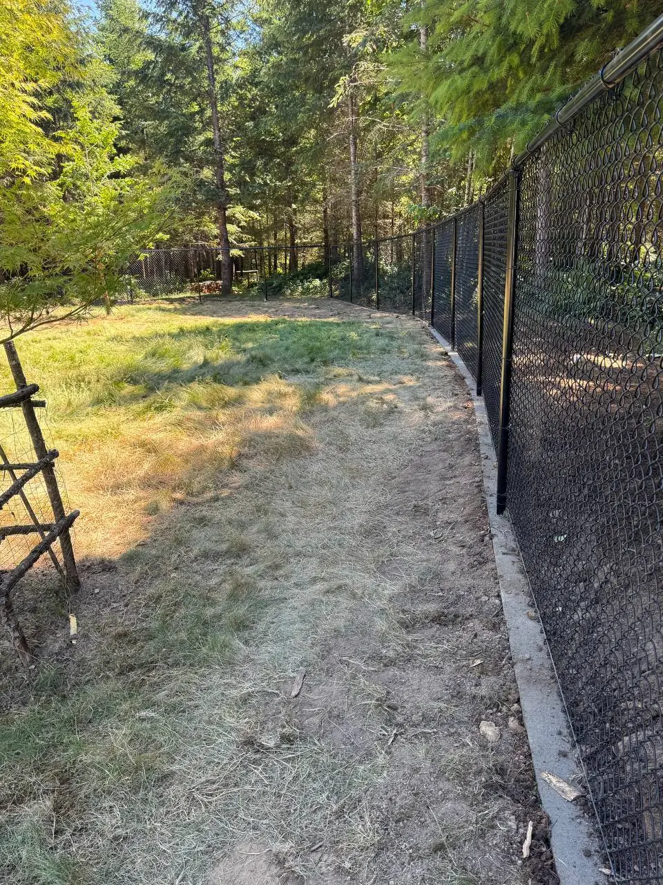 Black Chain Link Fence