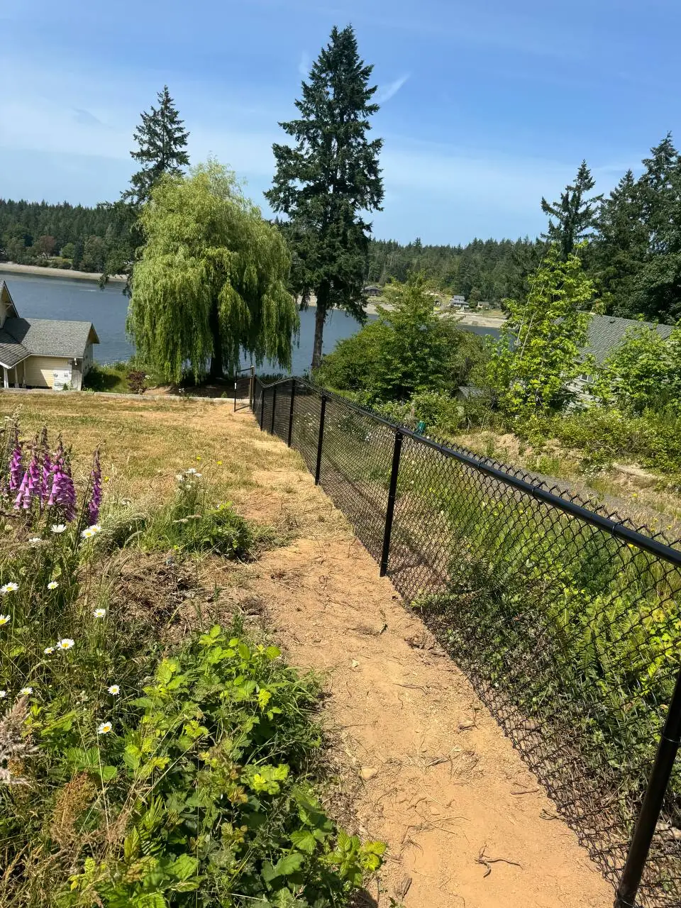 Black Chain Link - Hillside